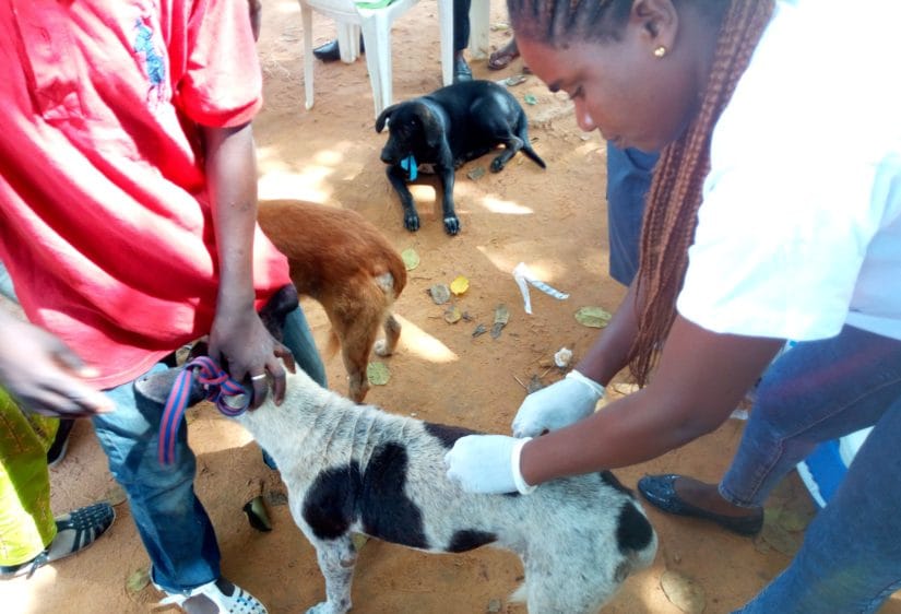 Agboville Campagne Rage