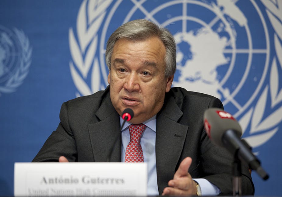 L’ONU œuvre contre la propagation des criquets au Kenya
