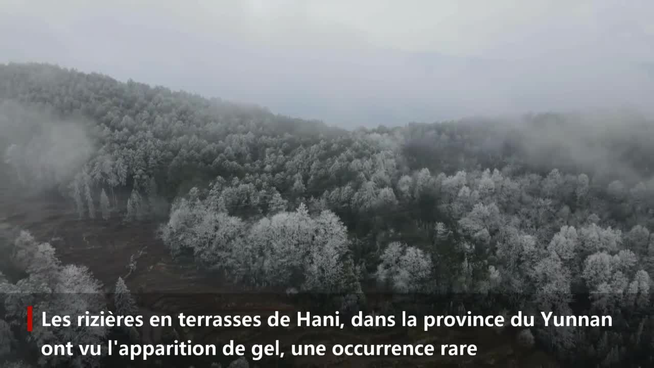 Une rare apparition de gel dans des rizières en terrasses de la province chinoise du Yunnan – Actualités 17/01/2021