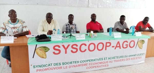 Mévente du cacao ivoirien : le SYSCOOP-AGO accuse des multinationales