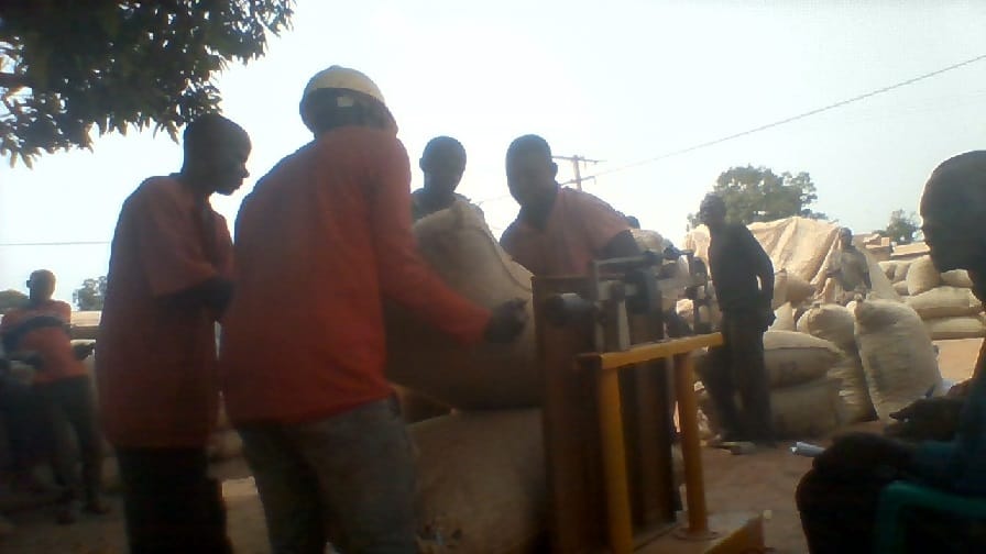 Côte d’Ivoire : vente groupée de 100 T de noix de cajou à Lataha