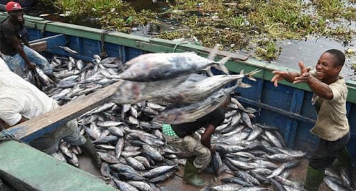 Côte d’Ivoire : la pêche à Lahou Kpanda interdite, les raisons