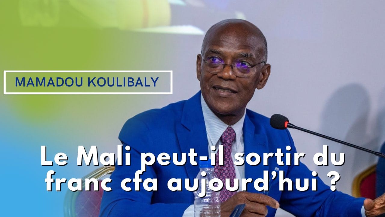 Le Mali peut-il sortir du franc CFA aujourd’hui ? Mamadou Koulibaly répond