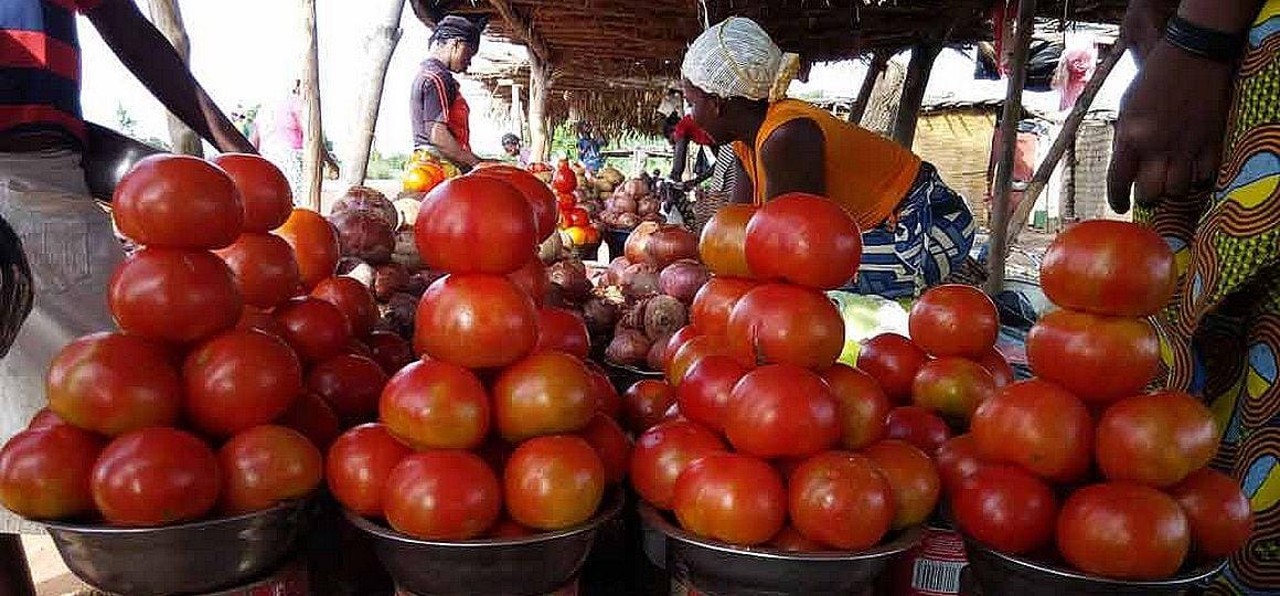 Mettre fin à la révolution verte défaillante : une action audacieuse pour des systèmes alimentaires résilients ?