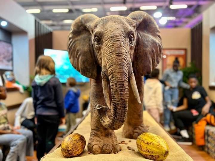 Salon du Chocolat de Paris 2022 : les chocolatiers ivoiriens presentent leur savoir-faire