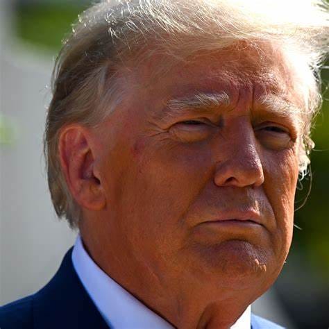 Donald Trump au pénal