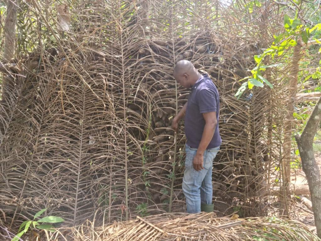Vincent Toh Bi ses conseils aux Ivoiriens : « Y’a lahan dedans »