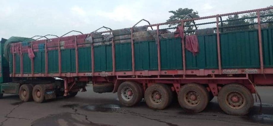 Exportation illégale d’hévéa : la gendarmerie saisit un camion à Damé