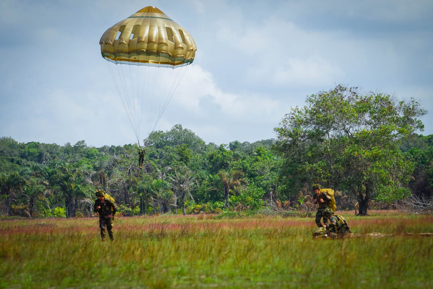 Exercice militaire France - Côte d'Ivoire