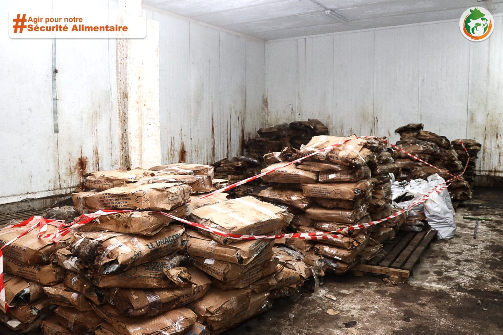 12 tonnes de produits de pêche avariés saisies et détruites à Treichville
