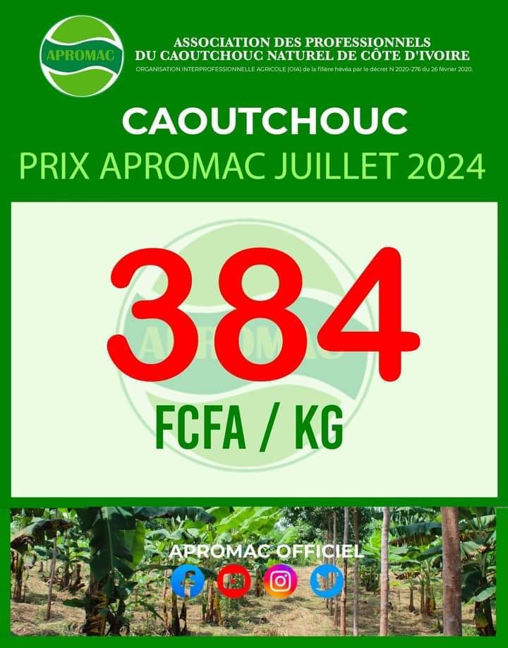 Prix Hévéa Côte d'Ivoire
