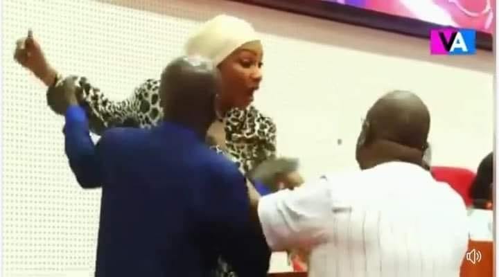 Coups de poing et insultes au Parlement de la CEDEAO