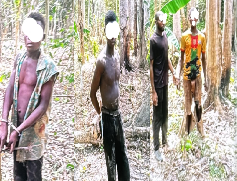 Individus arrêtés dans la forêt classée de Seguié
