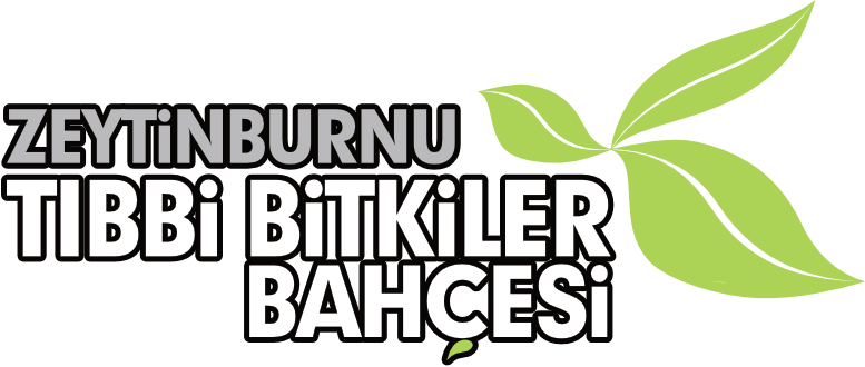 Zeytinburnu Tıbbi Bitkiler Bahçesi